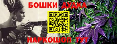 молекула духа Будённовск
