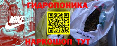 молекула духа Будённовск